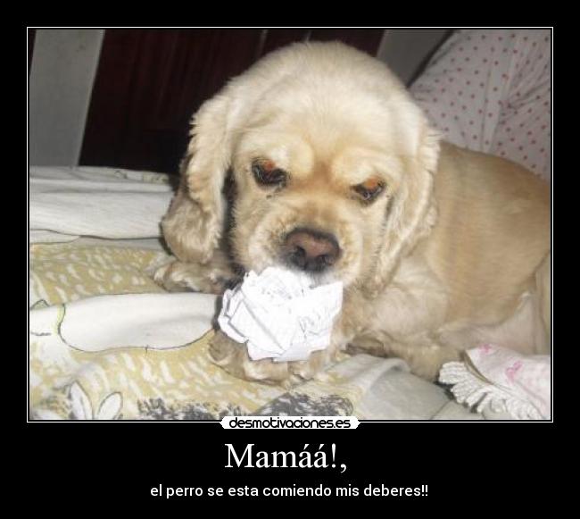 Mamáá!, - el perro se esta comiendo mis deberes!!