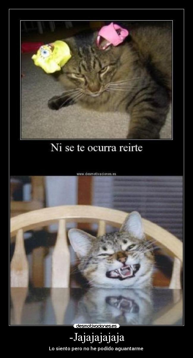 carteles jajajajajaja siento pero podido aguantarme gatoscartel desmotivaciones