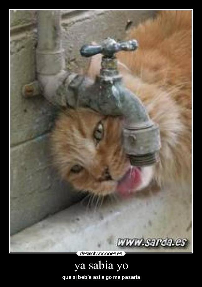 ya sabia yo - que si bebía así algo me pasaría