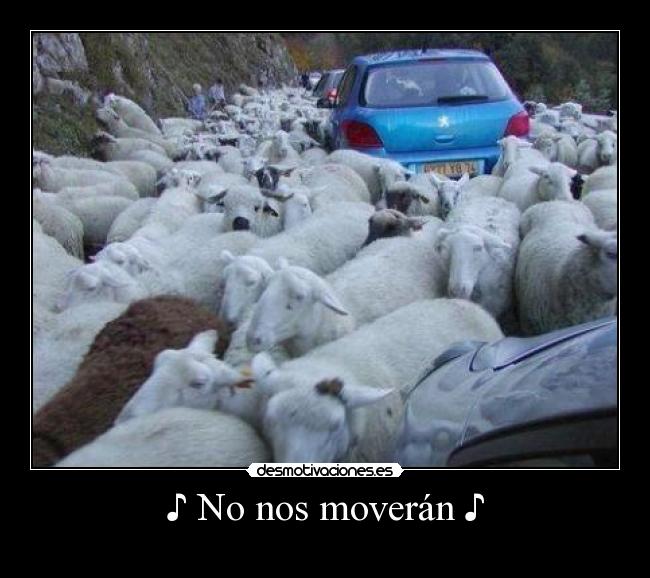 ♪ No nos moverán ♪ - 