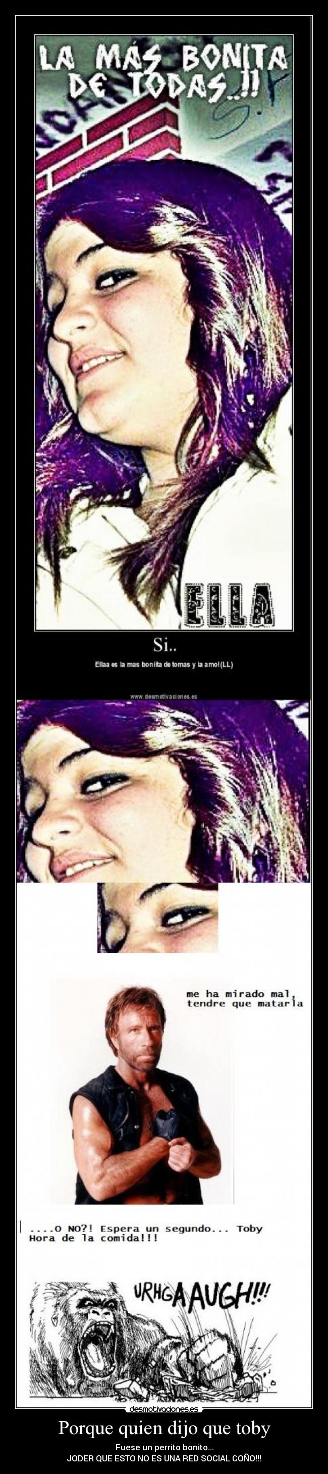 Porque quien dijo que toby - Fuese un perrito bonito...
JODER QUE ESTO NO ES UNA RED SOCIAL COÑO!!!