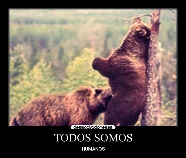TODOS SOMOS - HUMANOS