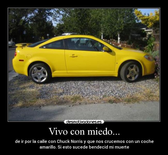 Vivo con miedo... - de ir por la calle con Chuck Norris y que nos crucemos con un coche
amarillo. Si esto sucede bendecid mi muerte
