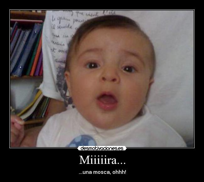 Miiiiira... - ...una mosca, ohhh!