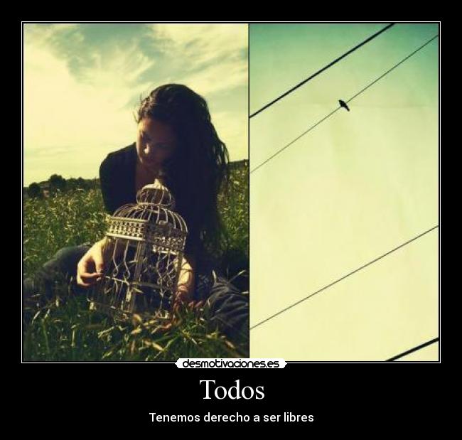 Todos - 