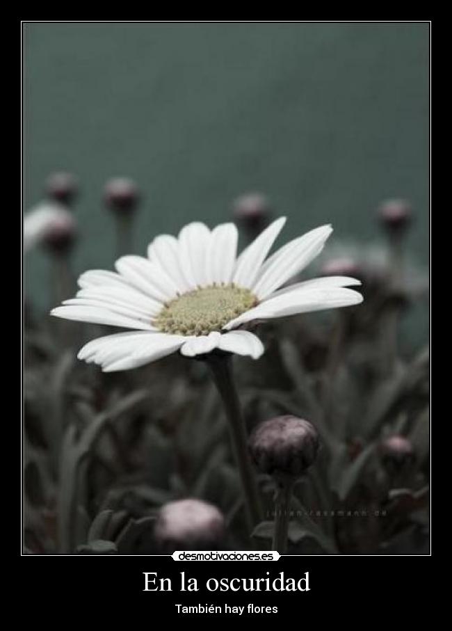 En la oscuridad -