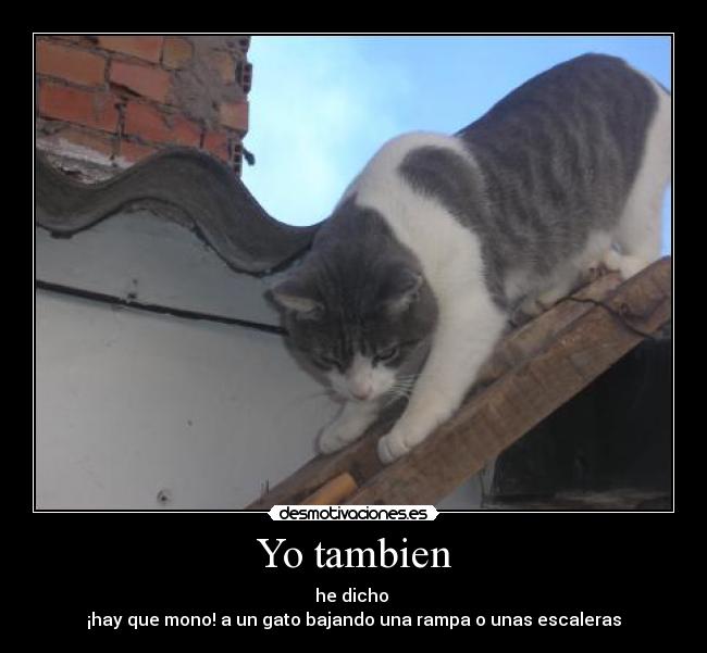 Yo tambien -