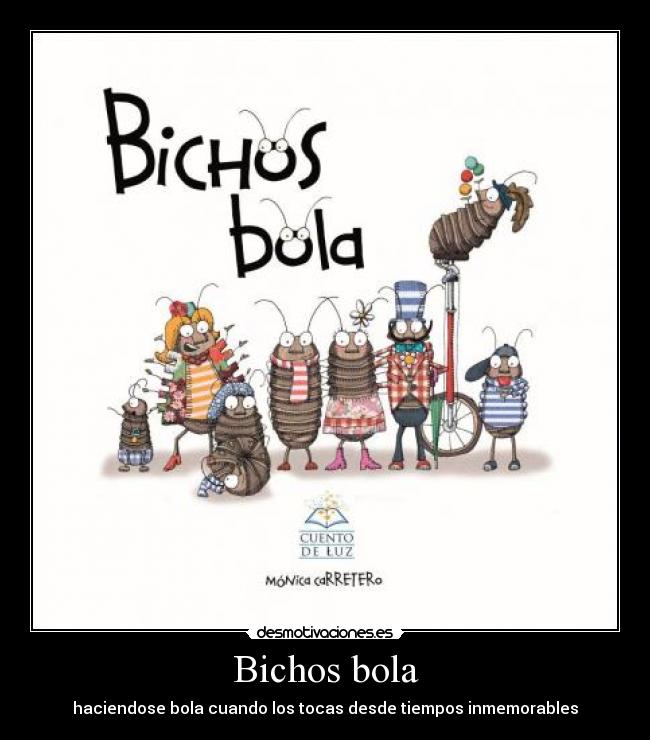 Bichos bola - haciendose bola cuando los tocas desde tiempos inmemorables