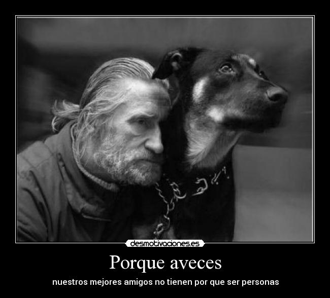 Porque aveces - nuestros mejores amigos no tienen por que ser personas