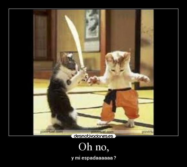 carteles gatos desmotivaciones