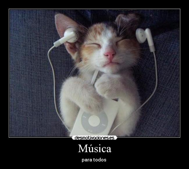 Música - 