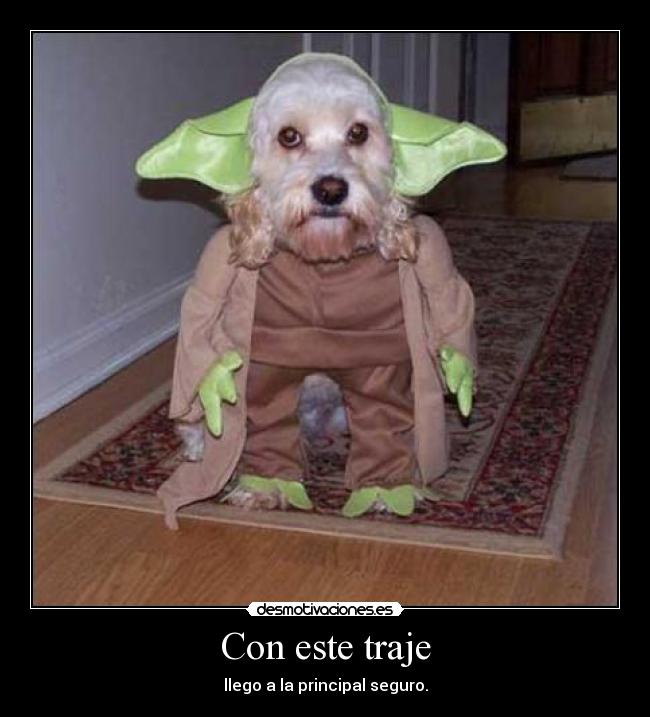 carteles yoda perro javisk8oride desmotivaciones