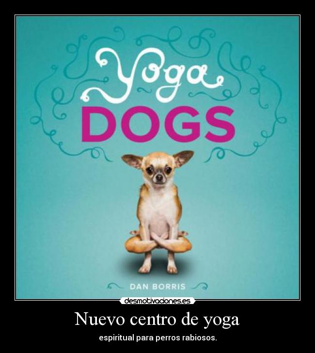 Nuevo centro de yoga - espiritual para perros rabiosos.