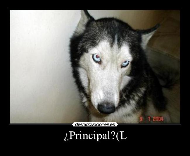 ¿Principal?(L -