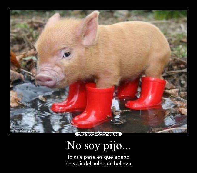 No soy pijo... - 