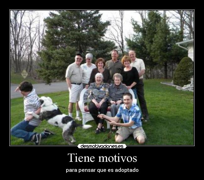 carteles adoptado desmotivaciones