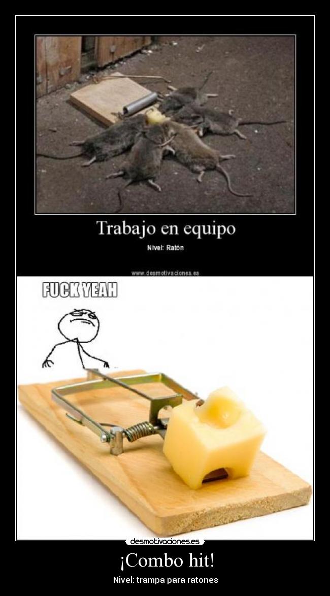 ¡Combo hit! - Nivel: trampa para ratones
