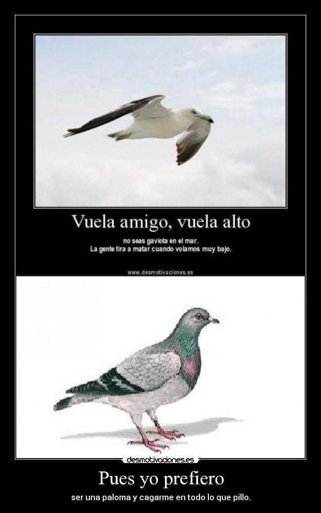 Pues yo prefiero - ser una paloma y cagarme en todo lo que pillo.