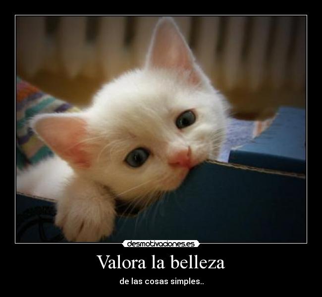 Valora la belleza -