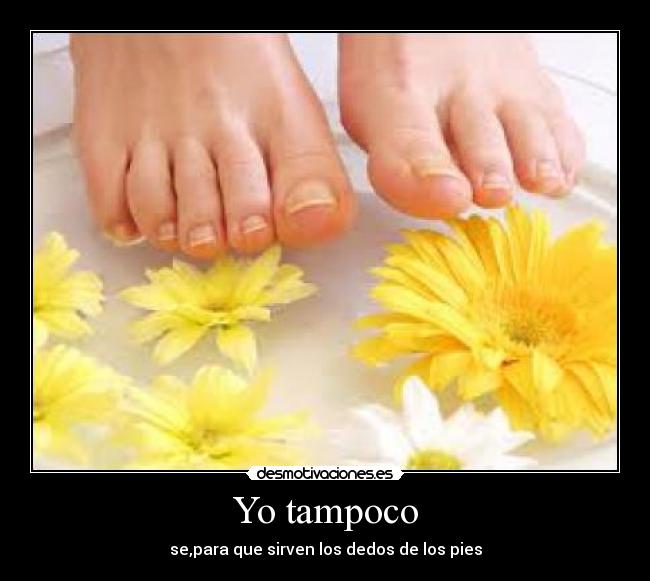 Yo tampoco - 