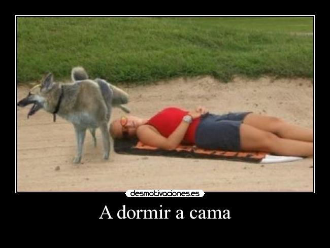 A dormir a cama -
