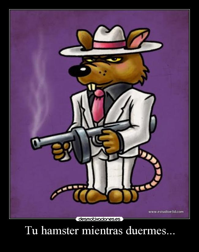 Tu hamster mientras duermes... -