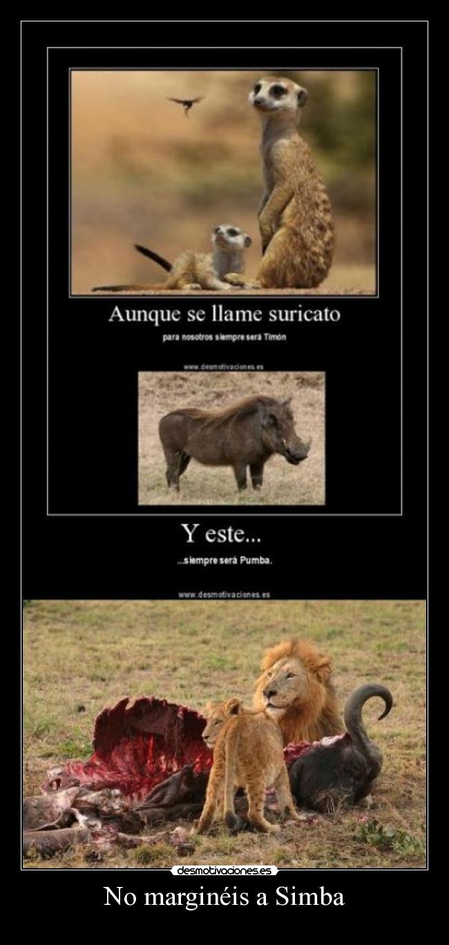 No marginéis a Simba - 