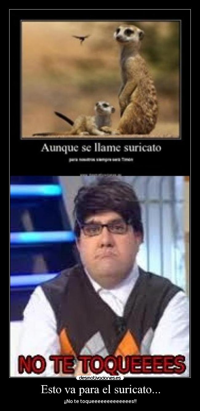 carteles suricato desmotivaciones