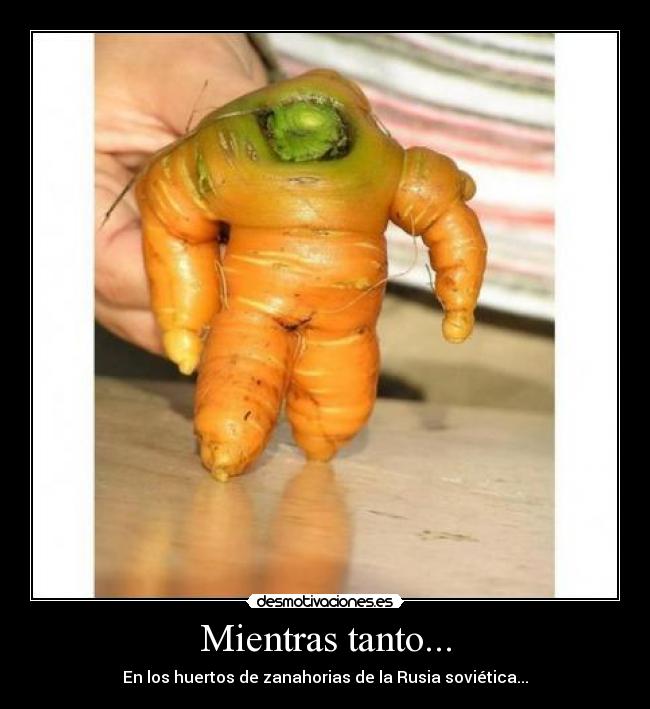 Mientras tanto... - En los huertos de zanahorias de la Rusia soviética...