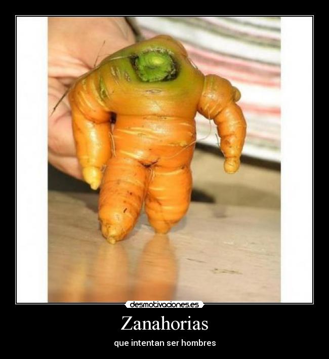 Zanahorias -