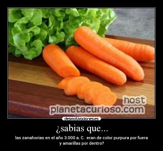 ¿sabias que... - las zanahorias en el año 3.000 a. C. eran de color purpura por fuera
y amarillas por dentro?
