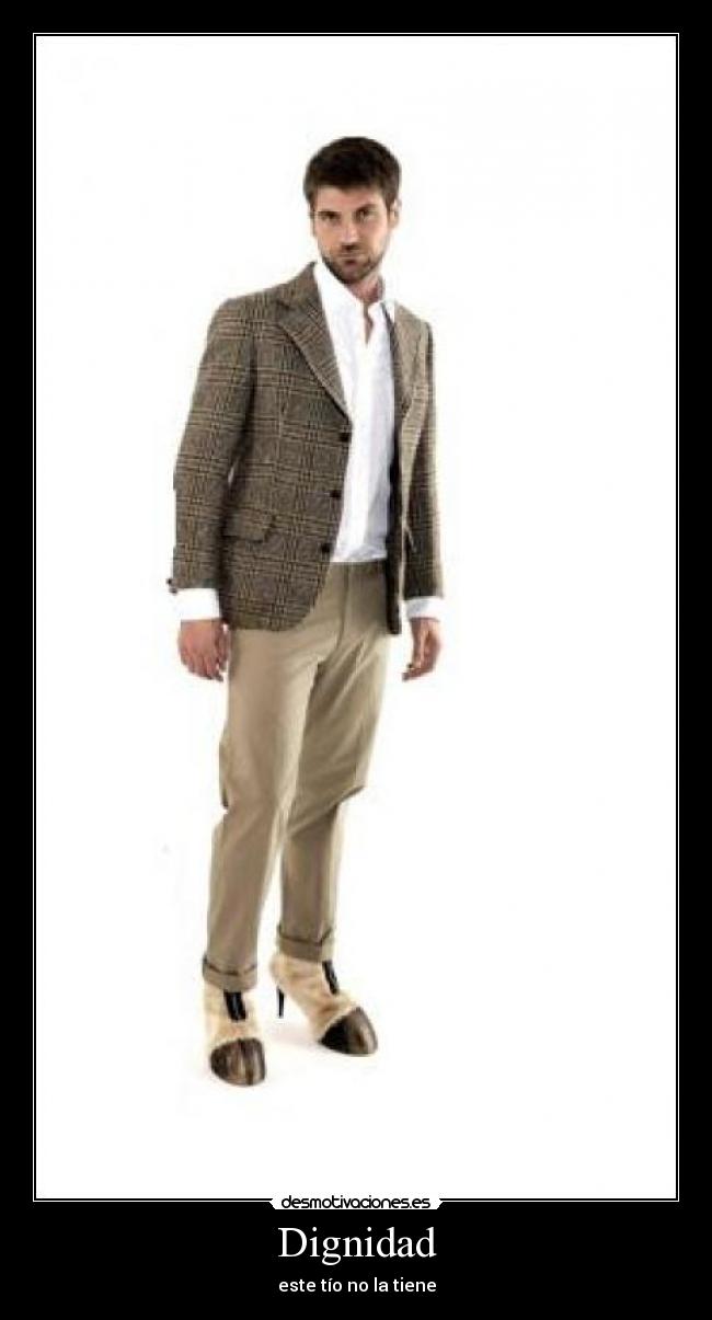 carteles zapatos caballo desmotivaciones