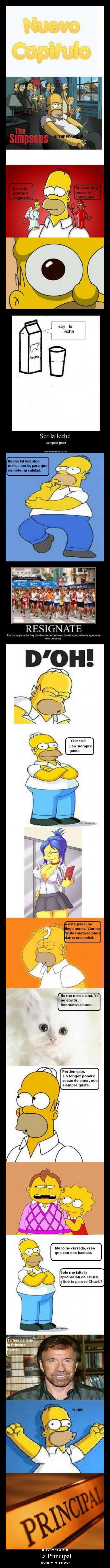 La Principal - según homer Simpson
