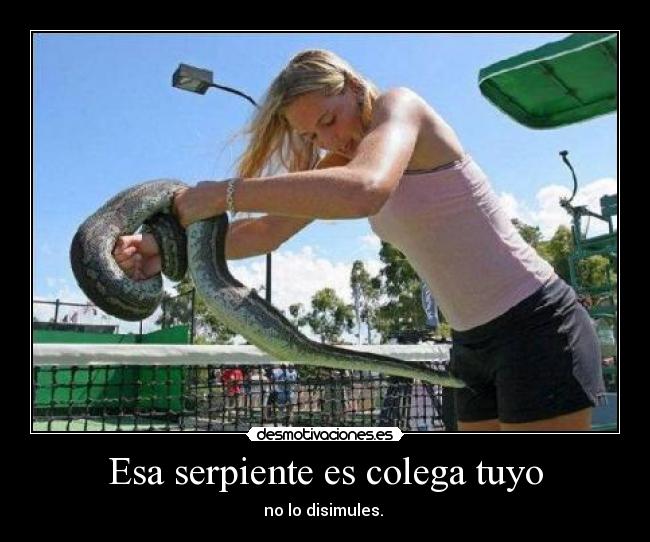 Esa serpiente es colega tuyo - no lo disimules.