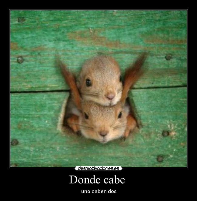 Donde cabe -