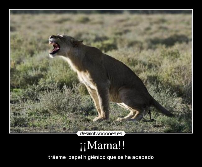 ¡¡Mama!! - 
