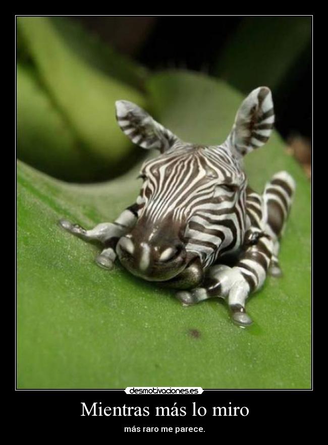 Mientras más lo miro -