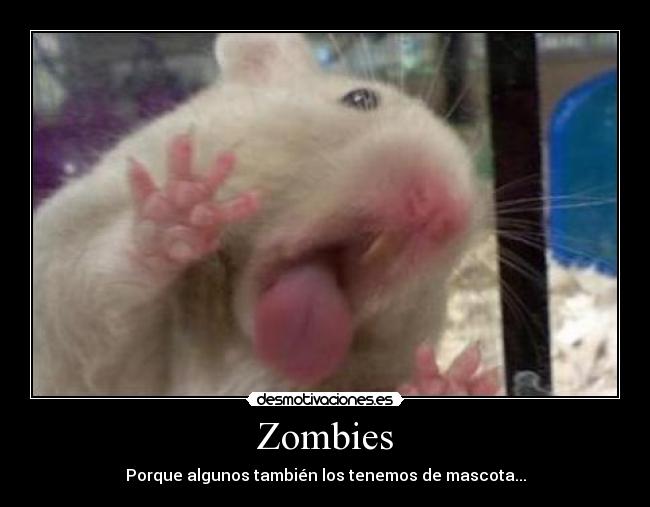 Zombies - 