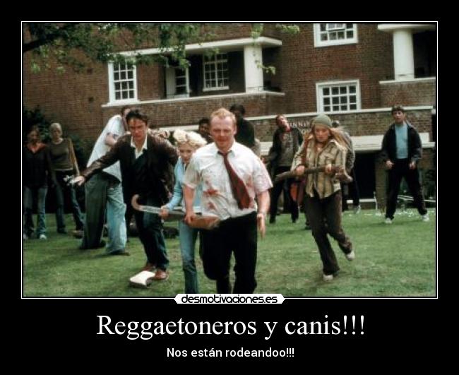 Reggaetoneros y canis!!! -