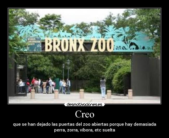 Creo -