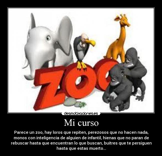 Mi curso - Parece un zoo, hay loros que repiten, perezosos que no hacen nada,
monos con inteligencia de alguien de infantil, hienas que no paran de
rebuscar hasta que encuentran lo que buscan, buitres que te persiguen
hasta que estas muerto...