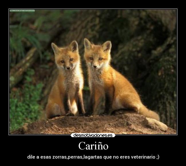 Cariño - 