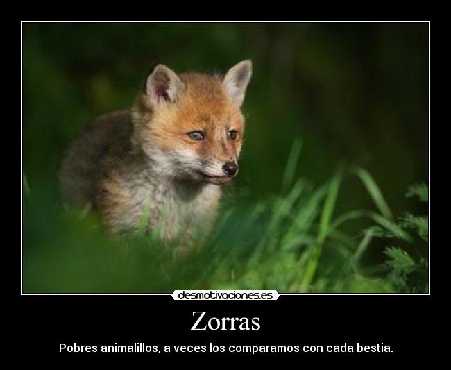 Zorras -