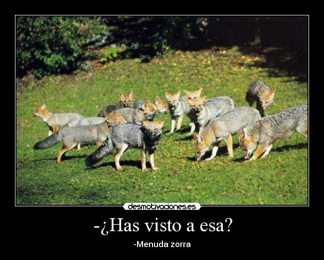 -¿Has visto a esa? - 
