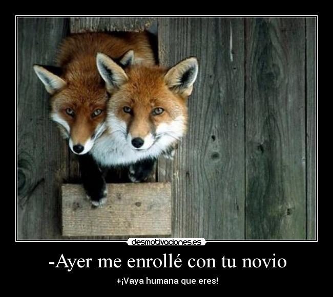-Ayer me enrollé con tu novio - 