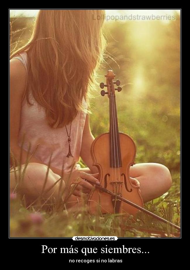Por más que siembres... - 
