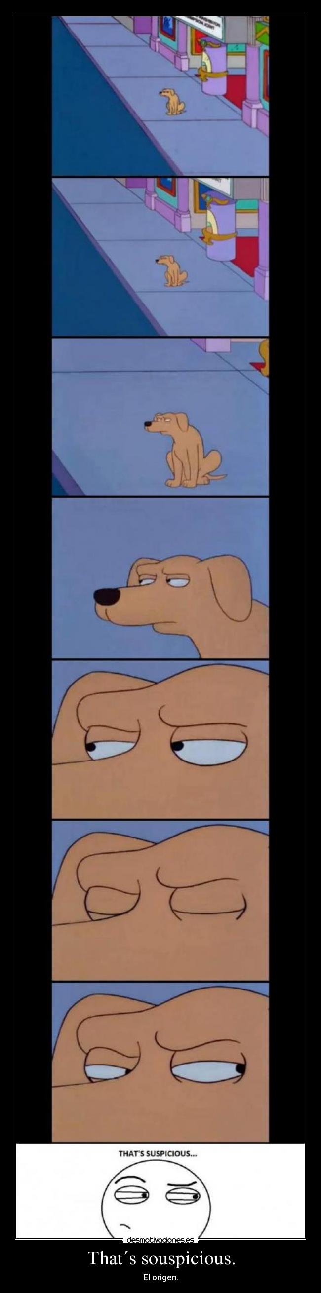 That´s souspicious. - 