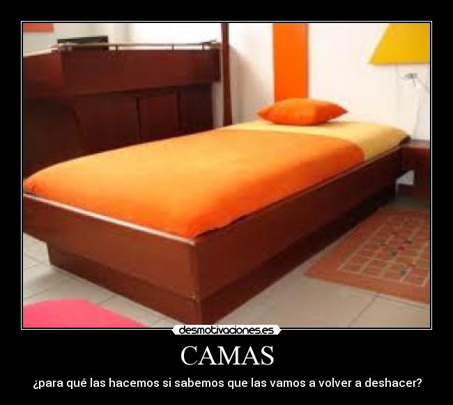 CAMAS -