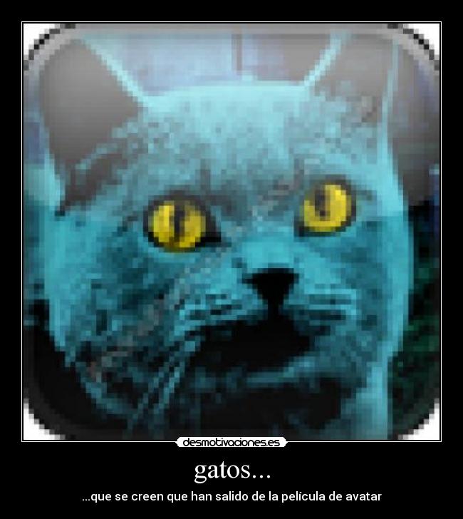 gatos... - ...que se creen que han salido de la película de avatar