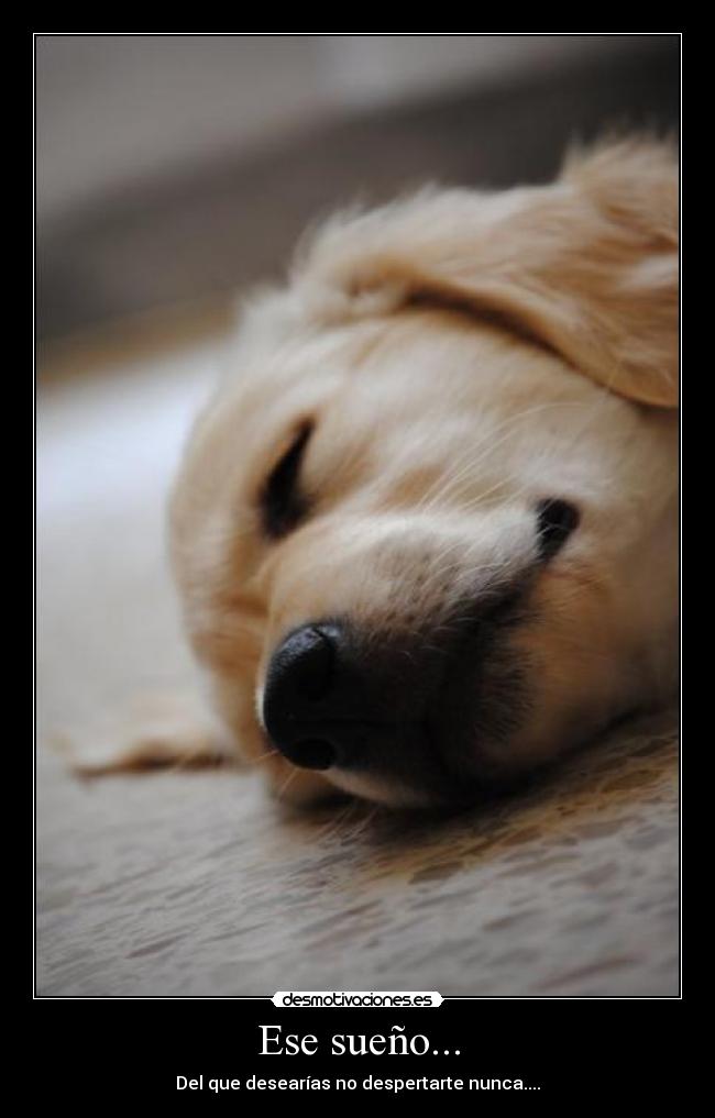 Ese sueño... - Del que desearías no despertarte nunca....